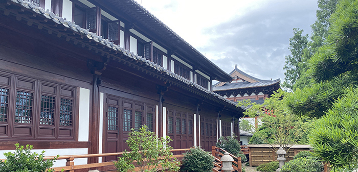 南宋官窯博物館丨欣賞古瓷器之美